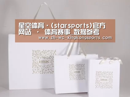 项目名称十一