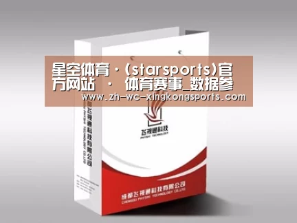 项目名称十三