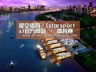 案例展示八