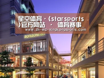 案例展示一