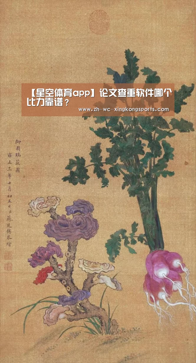 星空体育