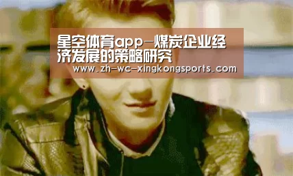 星空体育app-煤炭企业经济发展的策略研究(图3) 星空体育app下载