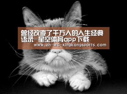星空体育app下载