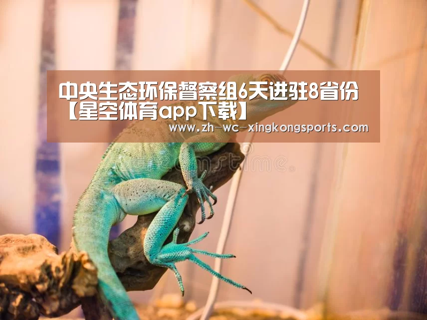 星空体育